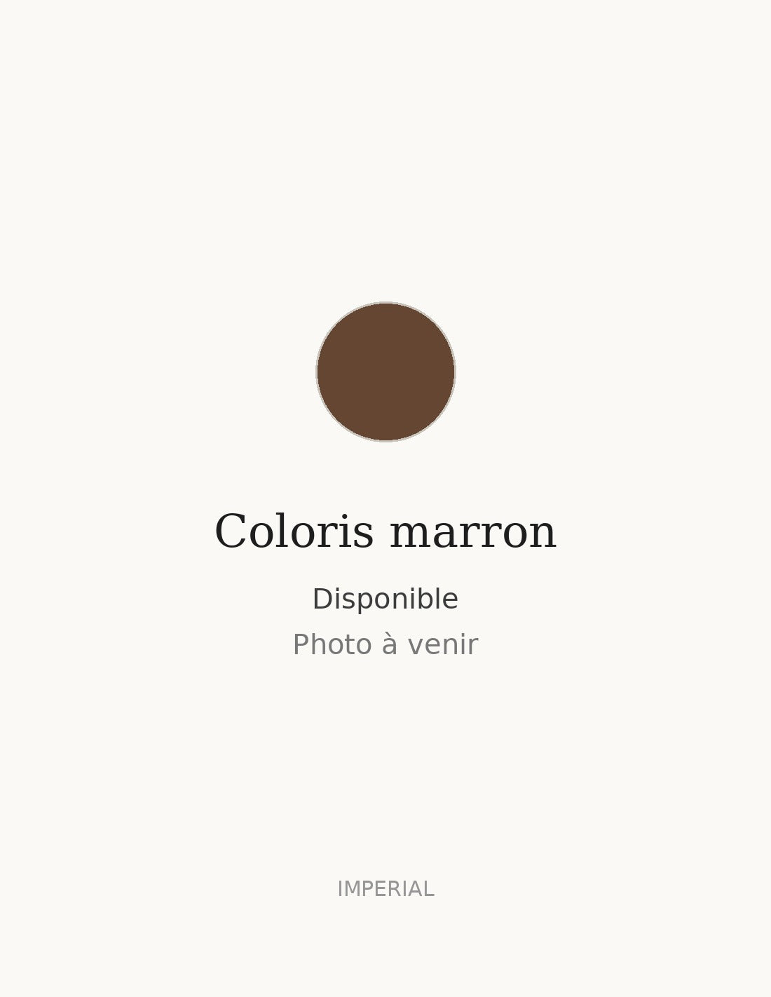 Pull col polo en maille de coton coloris marron, photo à venir – Imperial Homme