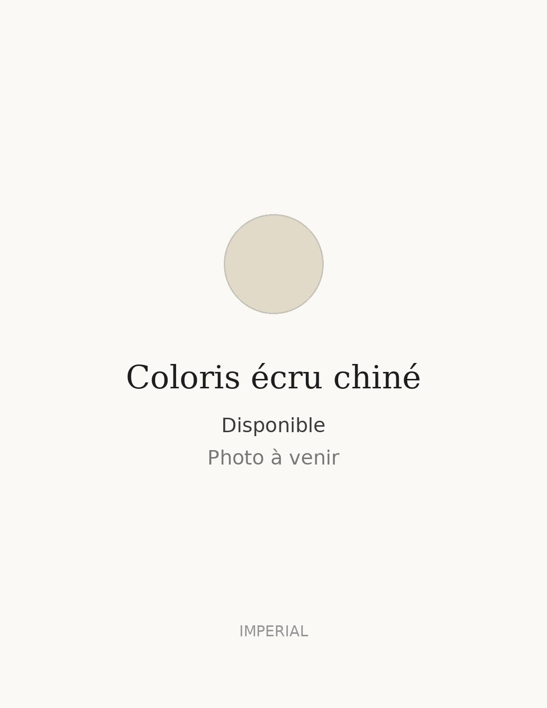Manteau long oversize en laine mélangée coloris écru chiné, photo à venir – Imperial Homme