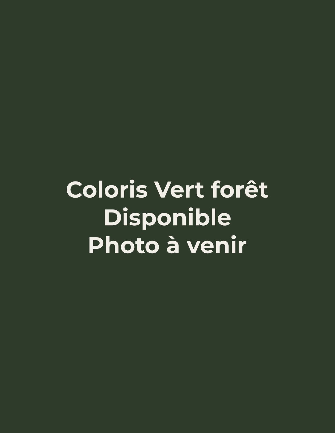 Pantalon de ville coupe jogging, coloris vert forêt disponible, photo à venir